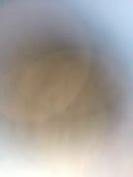 novio-de-la-tarde online show from April 2026 12:56:01 AM