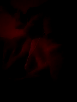 Premraj radherani online show from January 2026 06:34:02 PM