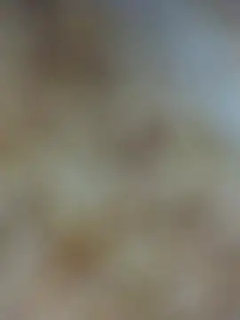 Bandna thakur online show from February 2026 10:10:01 PM