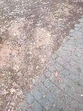 musa27272 online show from February 2026 05:27:02 AM