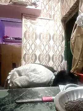 Eva 890 online show from December 2025 09:19:02 AM