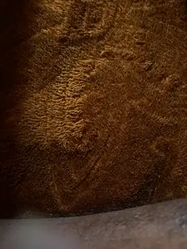 Snapshot of ONestark chatting on January 2026 08:31:02 AM ONestark online show from January 2026 08:31:02 AM