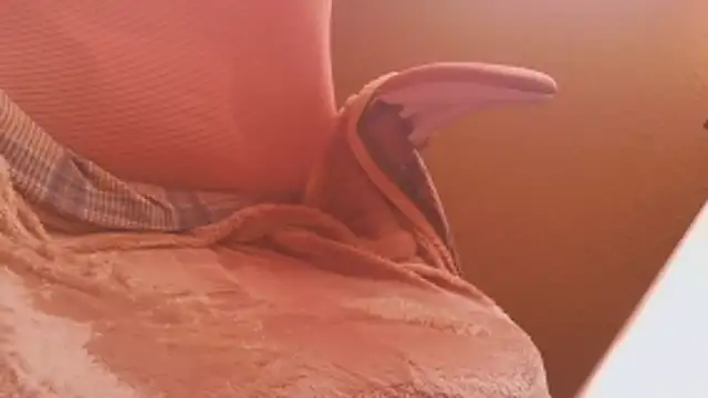 Michaelo666 online show from February 2026 11:21:02 AM