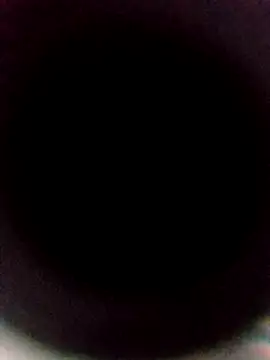 sexback11 online show from January 2026 06:50:02 AM