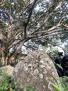 Maicol xxxx online show from March 2026 10:27:01 PM