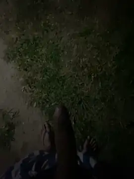 GuioficialBr online show from December 2025 04:47:02 AM