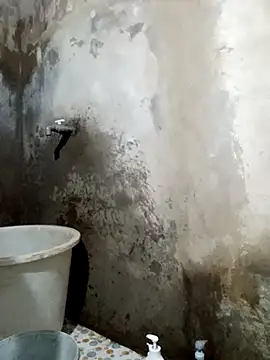 yula-bi online show from March 2026 11:11:02 AM