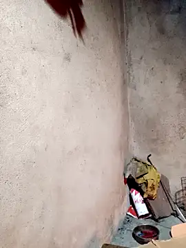 yula-bi online show from March 2026 11:58:02 AM