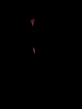 Horny  daddy0 online show from December 2025 09:55:02 AM