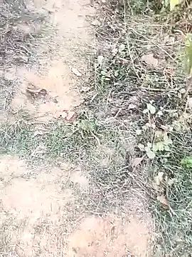 Snapshot of Sheela_Sex90 chatting on April 2026 11:59:02 AM Sheela Sex90 online show from April 2026 11:59:02 AM