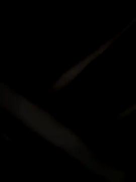 laramacedo2026 online show from January 2026 10:16:02 PM