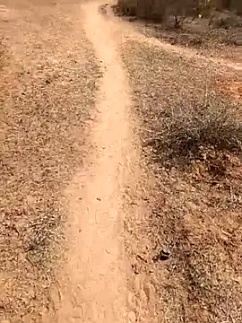 Snapshot of Tamilpaiyan07 chatting on February 2026 05:49:01 AM Tamilpaiyan07 online show from February 2026 05:49:01 AM