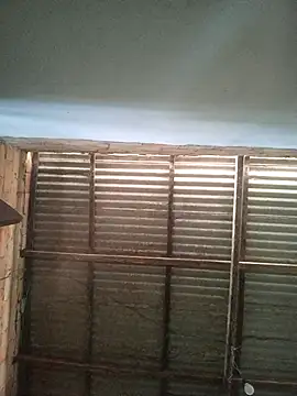 gingavi online show from January 2026 07:18:02 PM