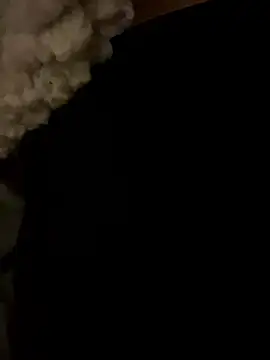 rtpin7 online show from December 2025 03:31:02 AM