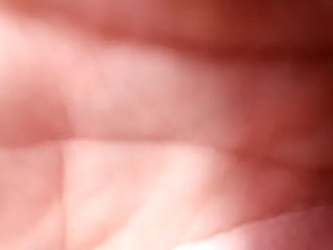 mellzinhacasada online show from February 2026 05:00:02 PM