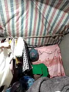 Lucky cutee online show from January 2026 04:49:02 AM