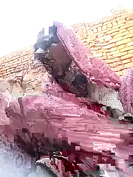 Rakhi cut online show from January 2026 02:37:02 AM