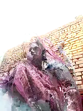 Rakhi cut online show from January 2026 03:02:02 AM