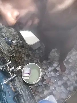 hydhunk26 online show from February 2026 06:44:01 AM