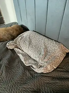 Sofii unicorn online show from April 2026 03:19:01 AM