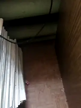 Tata and Joker online show from April 2026 12:34:01 PM