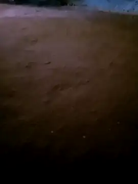 Kajal sexe online show from December 2025 03:52:02 AM