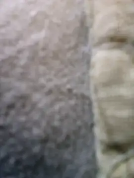 FragrantToe529 online show from February 2026 05:44:01 PM