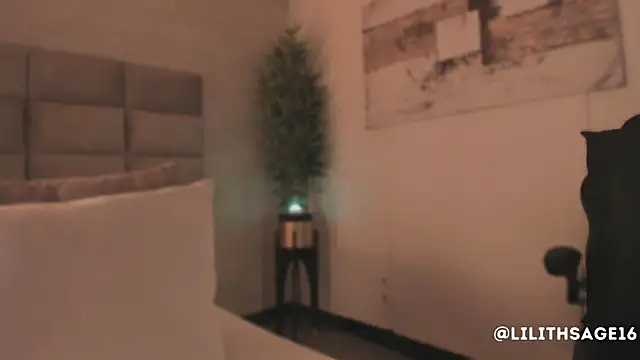 Lilith Sage  online show from February 2026 07:47:02 PM