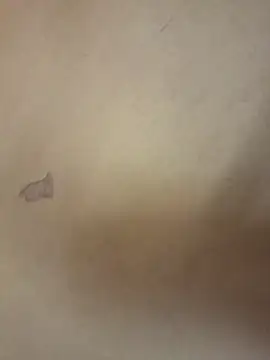 yourburget online show from February 2026 02:25:01 PM