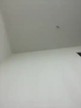 w52889 online show from December 2025 12:49:02 PM