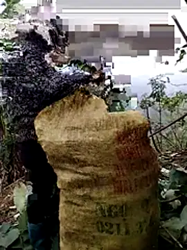 Snapshot of galaxy898 chatting on January 2026 07:34:02 AM galaxy898 online show from January 2026 07:34:02 AM