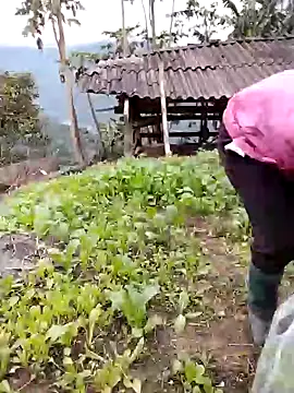 Snapshot of galaxy898 chatting on February 2026 09:41:01 AM galaxy898 online show from February 2026 09:41:01 AM