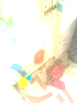 Hooghlypinkivabi online show from January 2026 07:36:01 AM