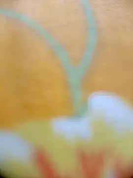 Hooghlypinkivabi online show from February 2026 02:30:02 PM