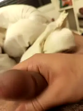 kingmiko12 online show from January 2026 04:21:02 PM