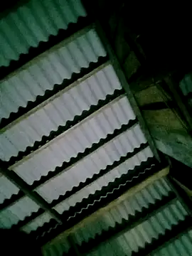 DIANAKUTE online show from April 2026 10:33:02 PM