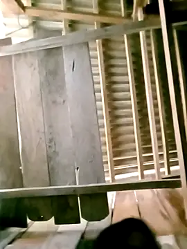 DIANAKUTE online show from March 2026 03:32:01 AM