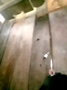 DIANAKUTE online show from March 2026 05:44:01 AM