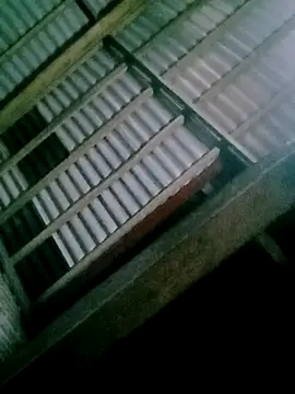 DIANAKUTE online show from February 2026 01:33:01 PM