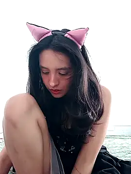 Phoenix Paws online show from April 2026 04:57:02 PM