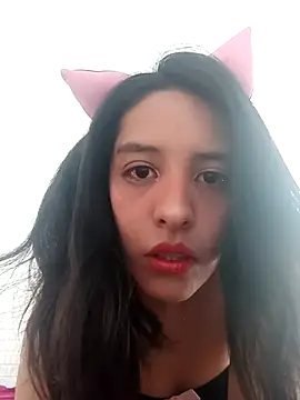 Phoenix Paws online show from March 2026 06:41:01 PM