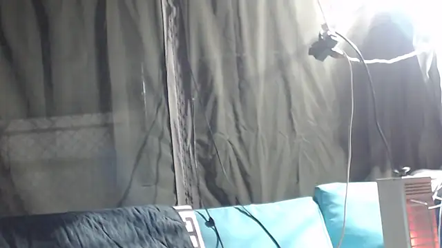 mspatience online show from March 2026 09:16:01 AM