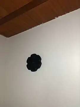 seth c online show from March 2026 06:12:02 PM