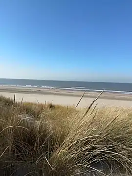 friemeldepiemel online show from March 2026 01:19:02 PM