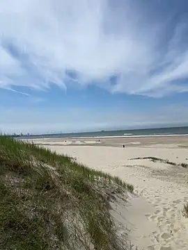 friemeldepiemel online show from June 2026 12:27:01 PM