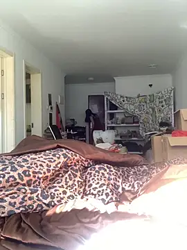 Qidandan778 online show from February 2026 05:15:01 AM