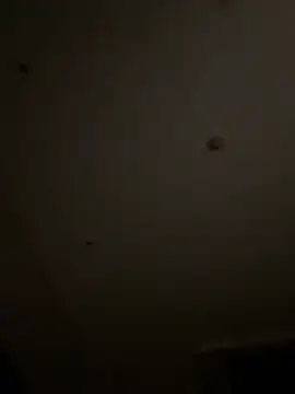 Qidandan778 online show from March 2026 12:09:01 PM