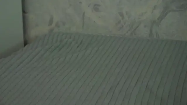 hexiir online show from April 2026 06:31:02 AM