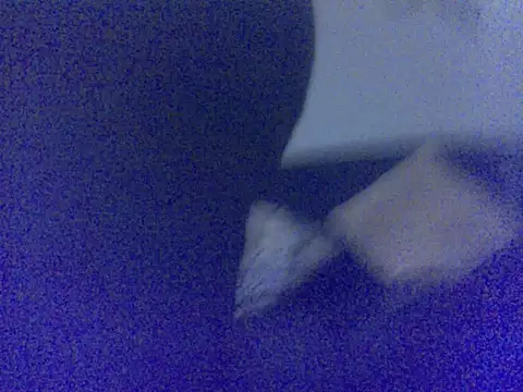 Babyboo3620 online show from March 2026 01:22:01 AM