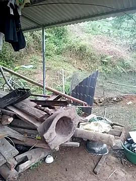 congchua977 online show from March 2026 11:59:01 PM